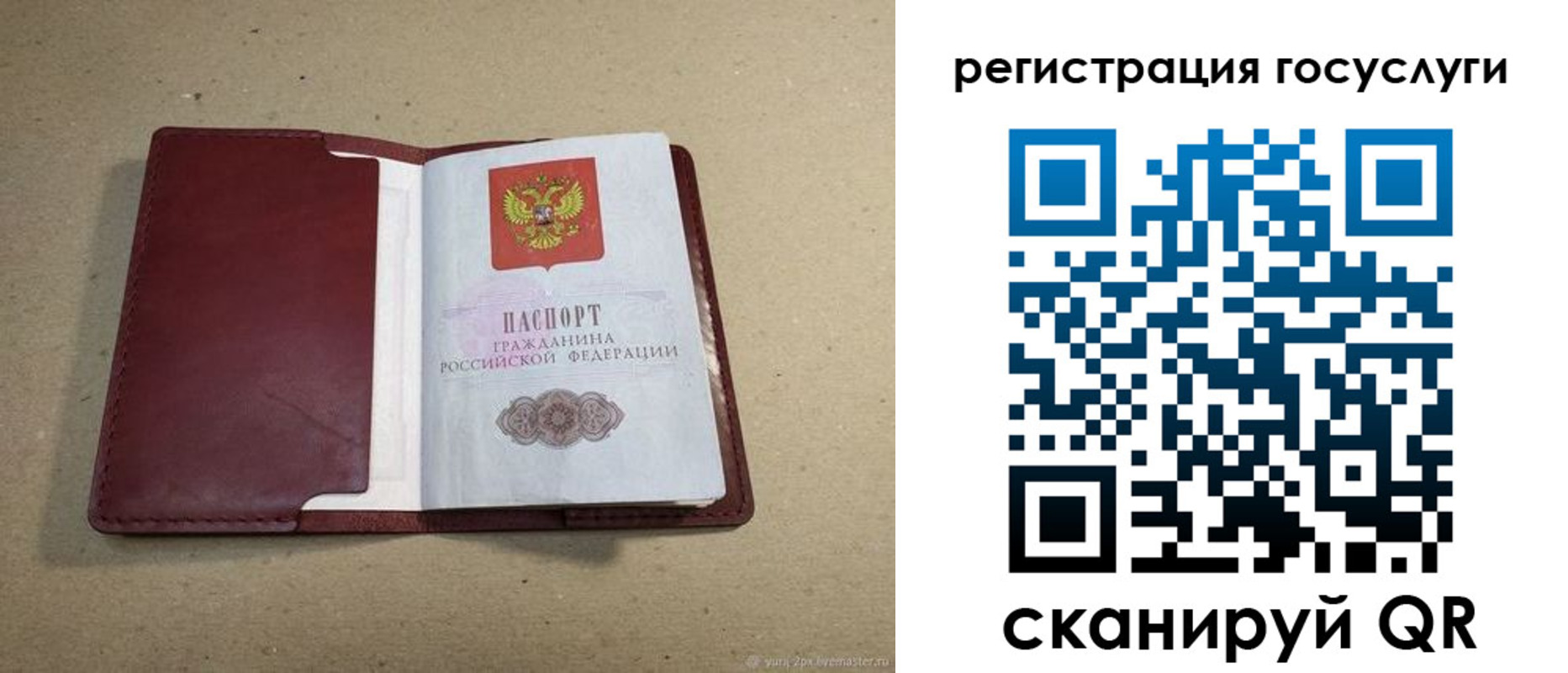 временная регистрация 2025 в Елизово