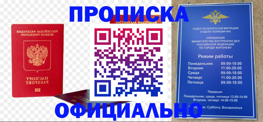 прописка иностранных граждан в Елизово